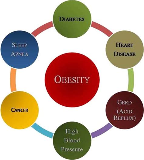 Countries With the Lowest and Highest Obesity Rates in the World | CalorieBee