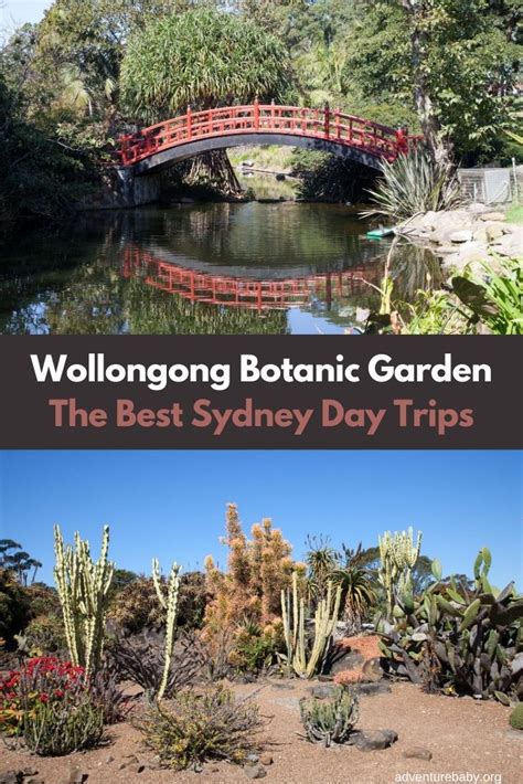 Sydney Day Trips: Wollongong Botanic Garden - Adventure, baby!