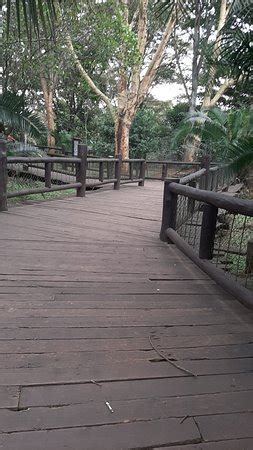 Nairobi Safari Walk - 2021 All You Need to Know BEFORE You Go (with Photos) - Tripadvisor