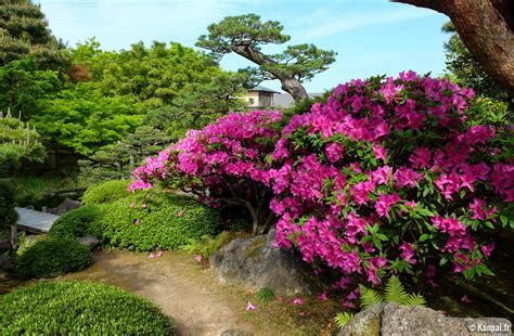 Things to do in Japan in May