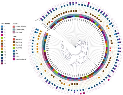 Frontiers | Contamination of Proteus mirabilis harbouring various ...