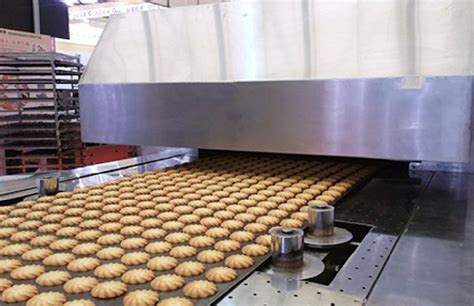 Small Capacity Automatic Industrial Biscuit Making Machine For Wide Range Shapes