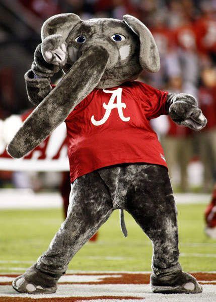 Crazy College Mascots | Alabama crimson tide, Alabama crimson tide ...