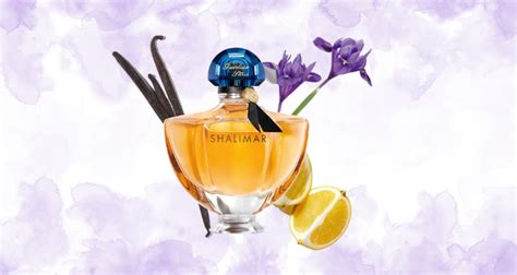 Who Wears Shalimar Perfume? | Scent Selective