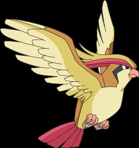 Pokemon Pidgey Evolution Chart