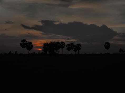 A rice field view during sunset in Thailand. 14939319 Stock Photo at Vecteezy