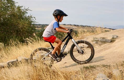 9 Best 20 Inch Mountain Bikes for Girls and Boys - We Tested Every Bike!