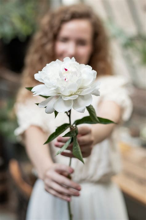 White peony flower