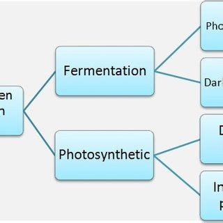 Bio-hydrogen production methods | Download Scientific Diagram