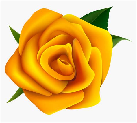 Rose Clipart Png Transparent