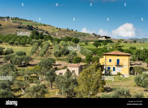 Sicilian landscape, with ancient and modern house, with olive and ...