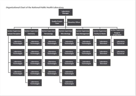 organogram template 03 - Word Templates