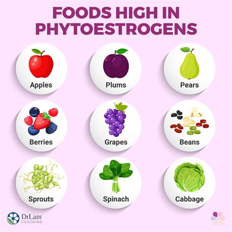 Are Estrogen Rich Foods Good For Your Hormone Balance?