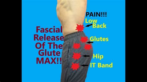 Gluteus Maximus Pain and Fascial Release | It band, Glutes workout, At home workouts