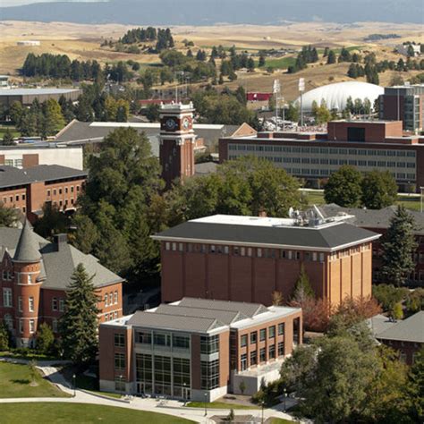 WASHINGTON STATE UNIVERSITY – Study Net