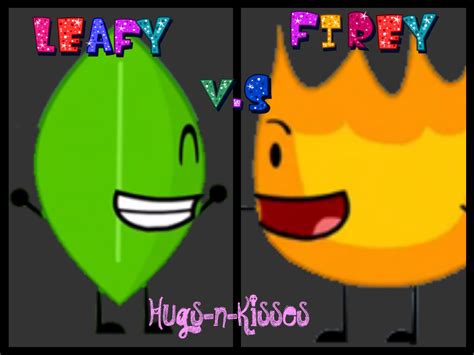 Leafy Vs Firey by HeaventheHedgehog8