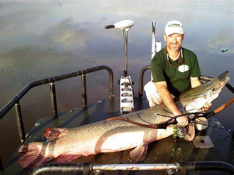 5 Tips for Bowfishing - Realtree Camo