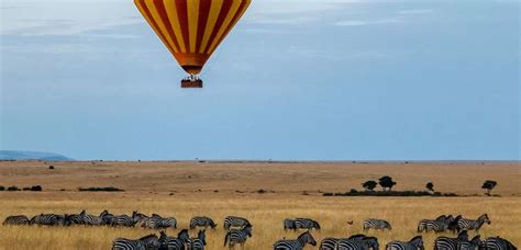 13 top tourist attractions in Nairobi, Kenya - Friends Traveller