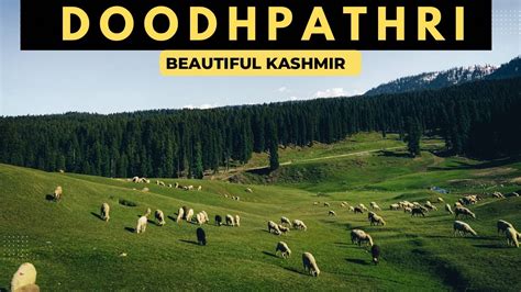 DOODHPATHRI THE HIDDEN GEM OF KASHMIR - YouTube