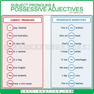 Possessive adjectives and subject pronouns (I/my, you/your, etc ...