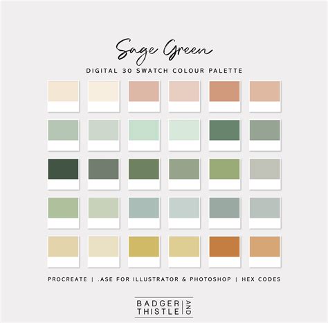 Sage Green Digital Colour Palette Swatches Download Procreate Photoshop ...