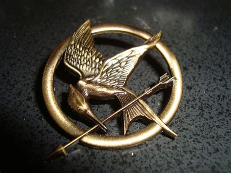 Pin by Amber Jeter on Katniss Everdeen- Creative Writing Assignment 2/3 ...