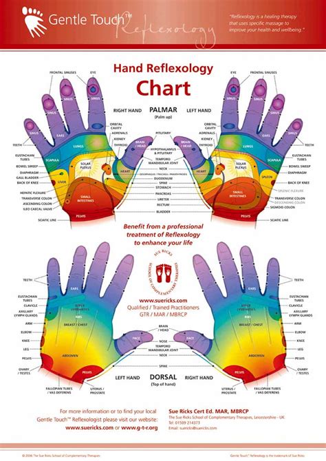 Hand Reflexology: spine corresponds with radial thumb, extremities with ulnar hand!