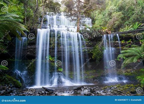 Russell Falls in Mount Field National Park, Tasmania Stock Image ...