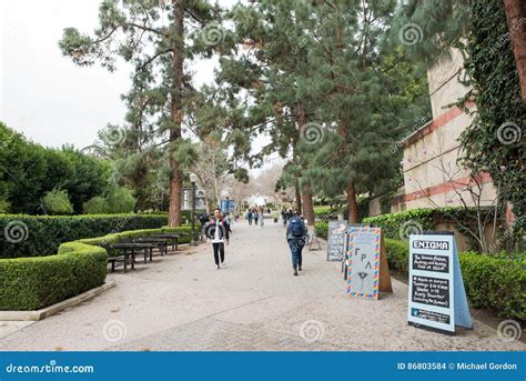 Bruin Walk on UCLA campus. editorial stock image. Image of area - 86803584