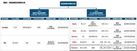 【新冠病毒变异毒株分类】 1）由于新冠病毒在传播过程中对基因组的不断复制导致各类新冠病毒变异毒株产生，WHO针对新冠病毒... - 雪球