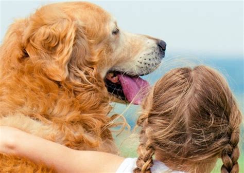 Benefits of Therapy Dogs for Autistic Children