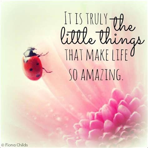 Ladybug Sayings Quotes. QuotesGram