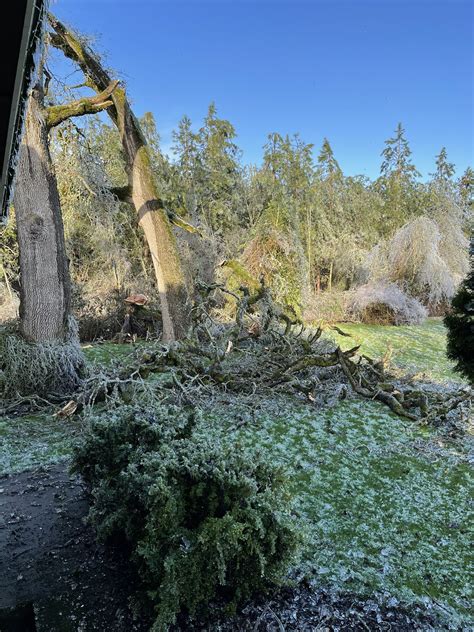 Photos: Ice storm wallops Oregon, SW Washington | KOIN.com