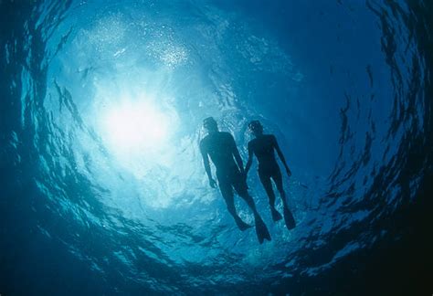 181,200+ Snorkeling Stock Photos, Pictures & Royalty-Free Images - iStock