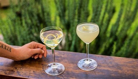 Best Australian gin: 16 top gins bursting with Aussie botanicals