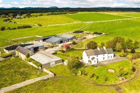 Farms for sale in Ireland | Savills