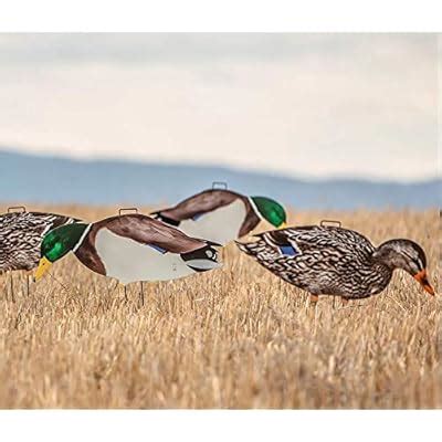 Buy Dive Bomb Industries 1 Dozen M1 Mallard Silhouette Decoys Online at ...