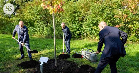 Germany | Trees planted in memory of concentration camp victims were destroyed in Germany ...