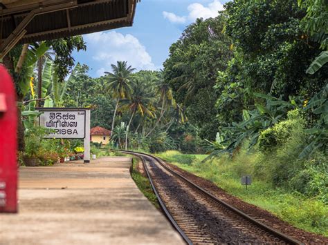 A Guide to Surfing Mirissa in Sri Lanka | Everything You Need to Know