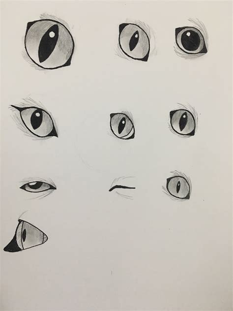 Just practicing my cat eyes X3 | Cat eyes drawing, Cat drawing, Cat drawing tutorial