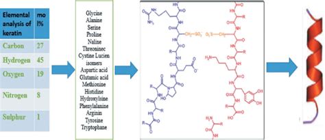 Chemical structure of keratine. | Download Scientific Diagram