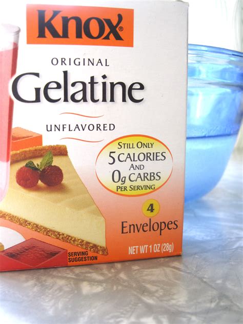 Gelatin Tips and Tricks | The Modern Gelatina