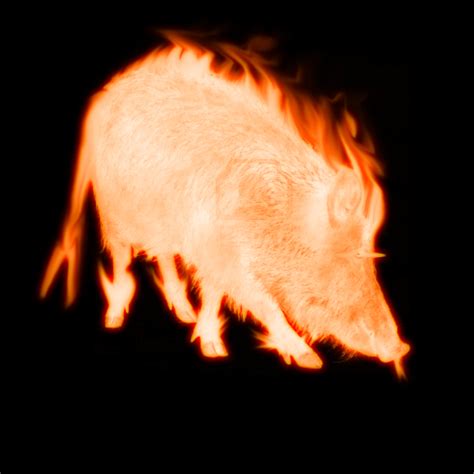 Fire Pig by lil200797 on DeviantArt