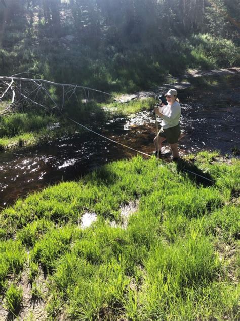 Monitoring trout habitat in Sequoia National Forest - Sierra Nevada Alliance