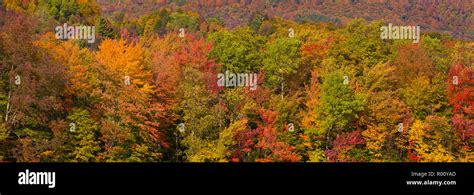 WARREN, VERMONT, USA - Fall foliage in Green Mountains, Mad River ...