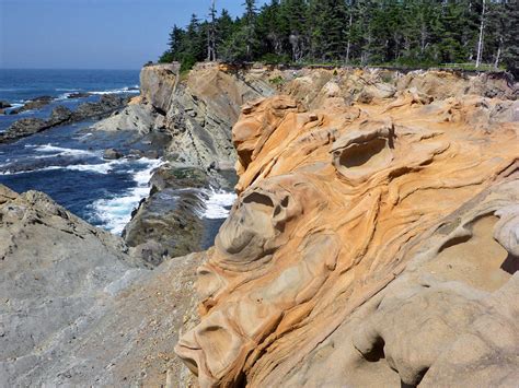 Orange sandstone: Shore Acres State Park, Oregon