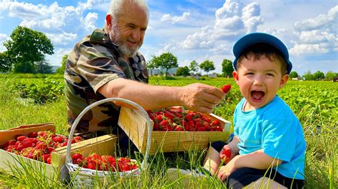 MAKE JAM AND FRUİT PULP RECİPES WİTH STRAWBERRİES 🍓 EASY AND DELİCİOUS village cooking - YouTube