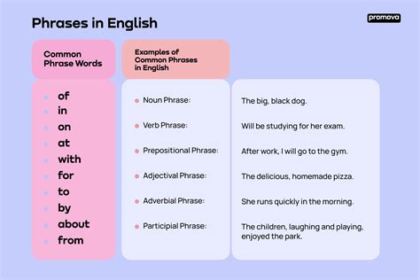 What is a Phrase in English: Definition, Examples, and Types