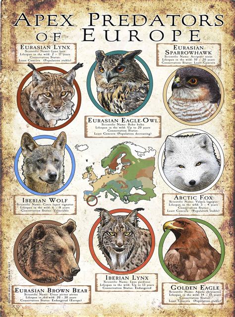 Apex Predators of Europe Poster Print