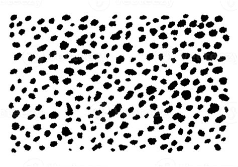 Black Dalmatian Spots 14968206 PNG